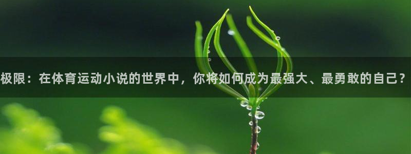 意昂体育注册登录入口：极限：在体育运动小说的世界中，你将如何成为最强大、最勇敢的