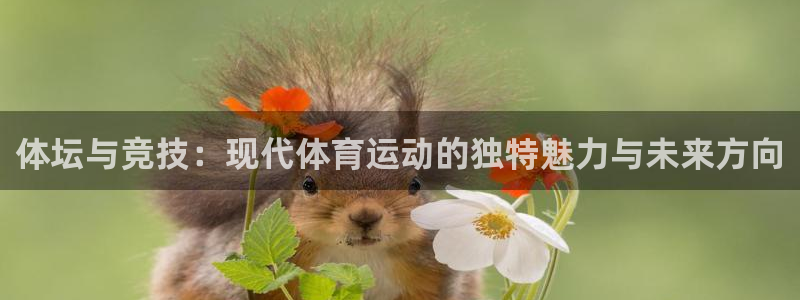 意昂包怎么样：体坛与竞技：现代体育运动的独特魅力与未来方向