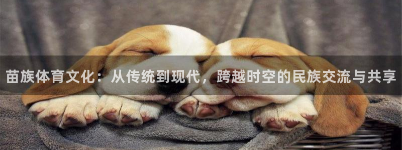 意昂f凯捷注册：苗族体育文化：从传统到现代，跨越时空的民族交流与共享