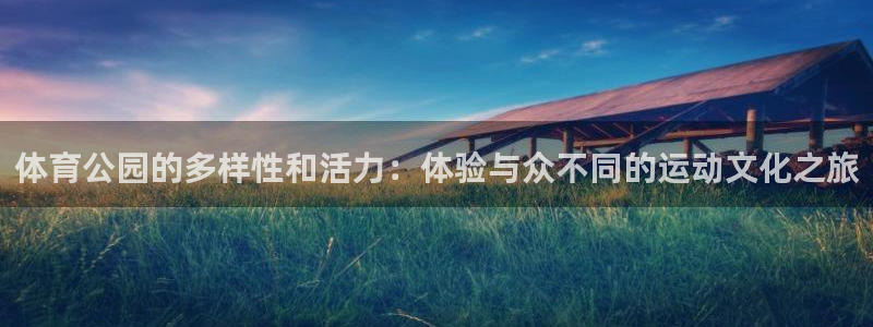 佛山市南海意昂机电仪器有限公司：体育公园的多样性和活力：体验与众不同的运动文化之