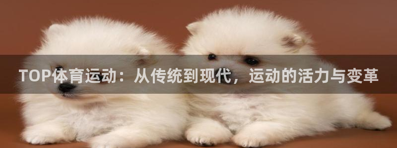 意昂代理怎么赚钱：TOP体育运动：从传统到现代，运动的活力与变革