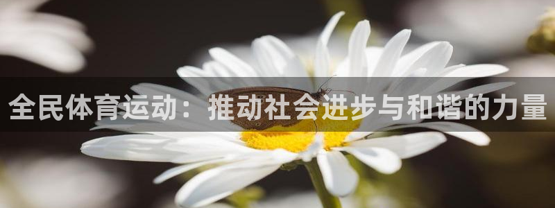 意昂3登录：全民体育运动：推动社会进步与和谐的力量
