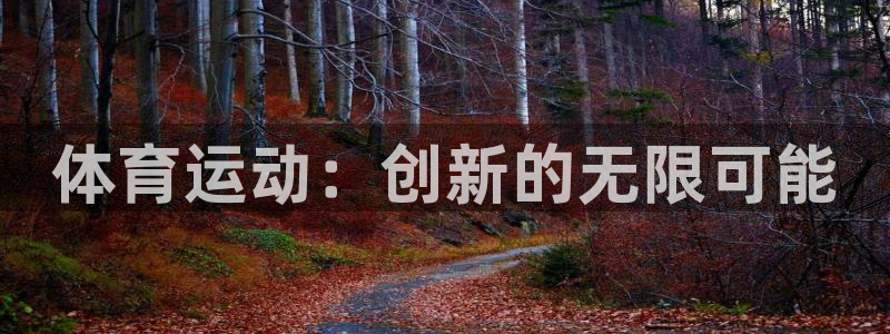 意昂4平台：体育运动：创新的无限可能