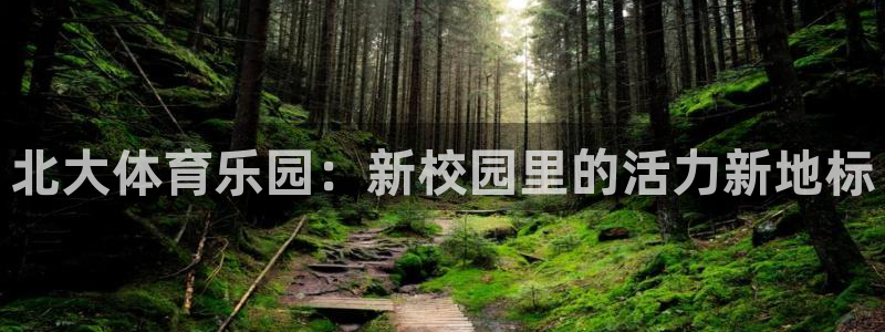意昂3平台注册：北大体育乐园：新校园里的活力新地标