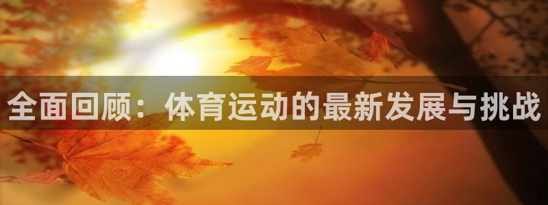 德国意昂集团