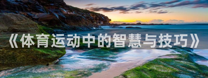 意昂体育官网登录：《体育运动中的智慧与技巧》