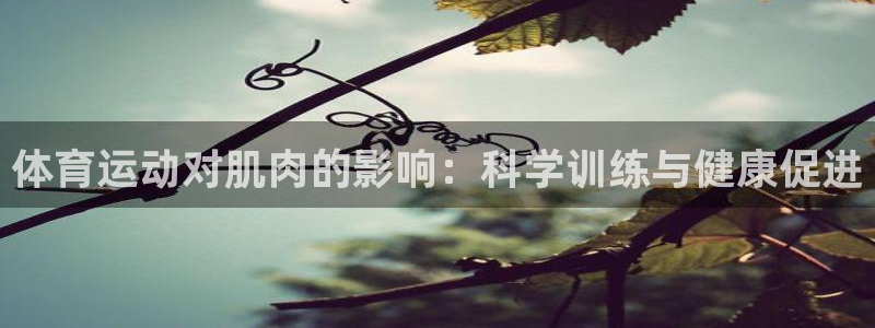 意昂2平台注册：体育运动对肌肉的影响：科学训练与健康促进