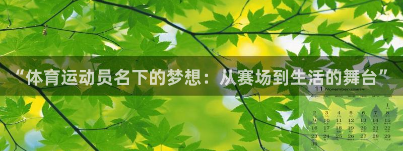 意昂4注册：“体育运动员名下的梦想：从赛场到生活的舞台”