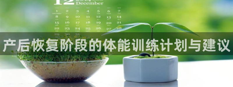 意昂体育官网登录：产后恢复阶段的体能训练计划与建议