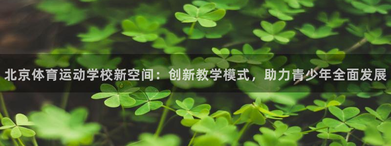 意昂2平台注册：北京体育运动学校新空间：创新教学模式，助力青少年全面发展