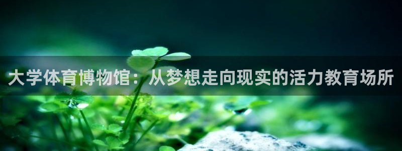 意昂的动画：大学体育博物馆：从梦想走向现实的活力教育场所