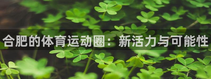 意昂3官网登录：合肥的体育运动圈：新活力与可能性