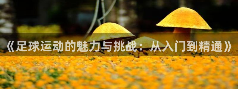 意昂vk